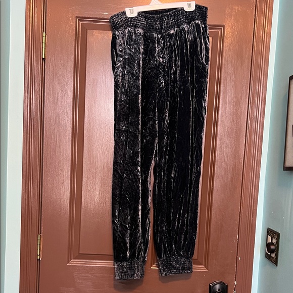 Anthropologie Crushed Velour Velvet Cadet Blue Jogger Pants L
